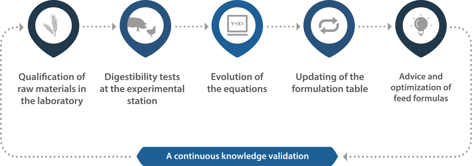 A continuous knowledge validation