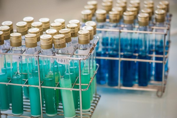 Laboratoires_REPORTAGE_LABO_CCPA_067