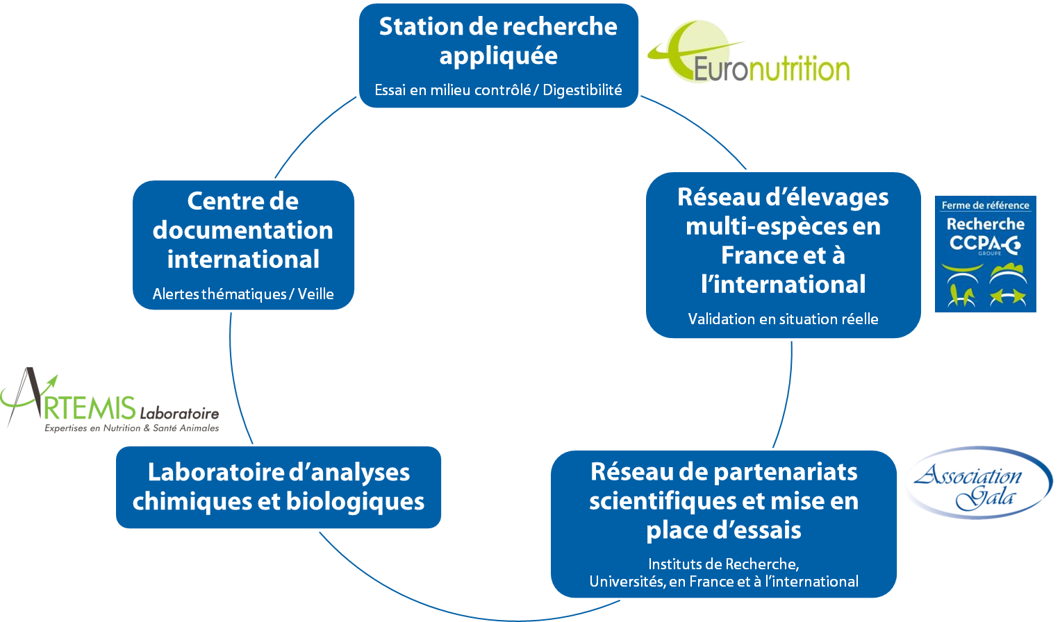 Infographie