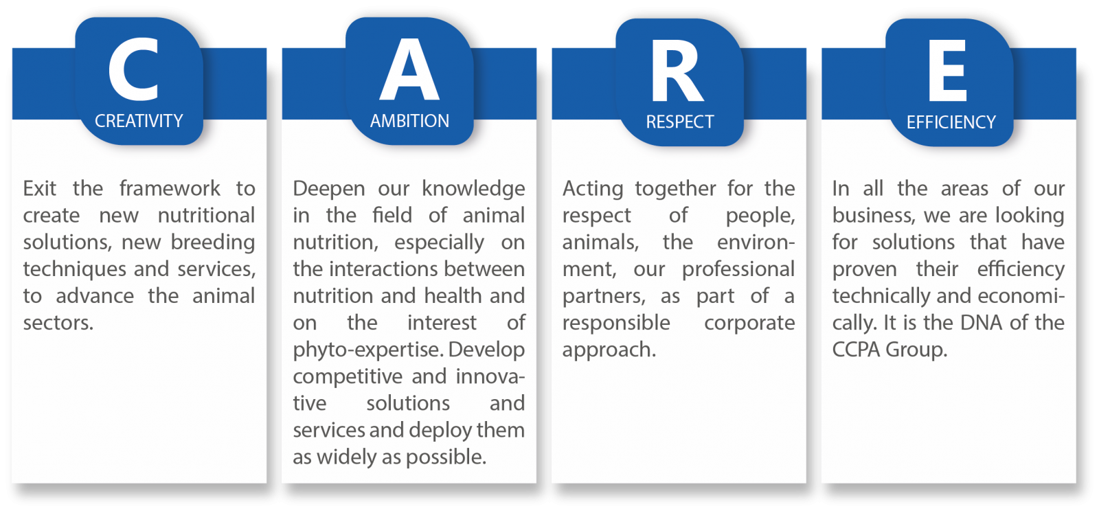 CCPA group's values, CARE : creativity ambition respect and efficiency