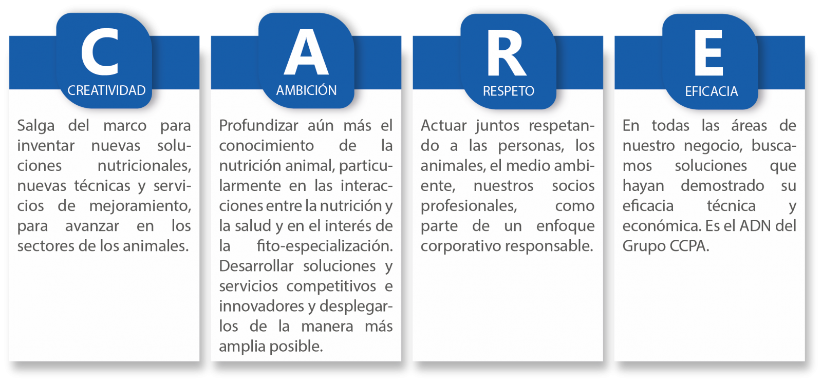 Valor del grupo CCPA, CARE: creatividad, ambición respeto, eficacia