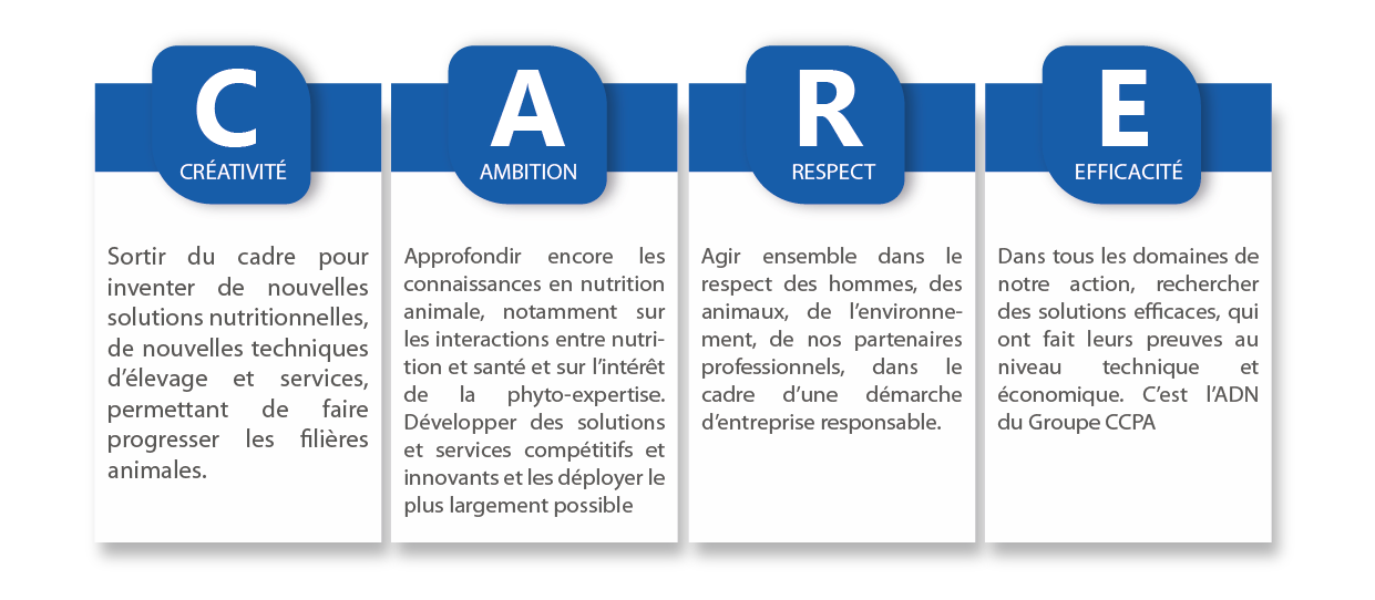 Valeur du groupe ccpa, CARE : Créativité ambition respect et efficacité
