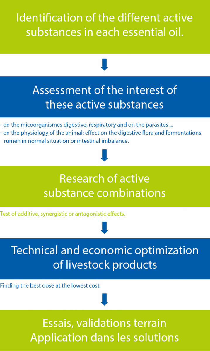 The essential stage of R&D in making the most of active vegetal ingredients in nutrition 