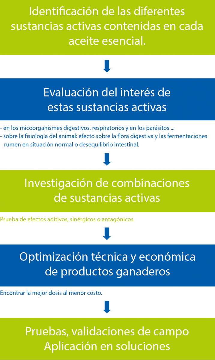 Fases de I+D indispensables para utilizar los ingredientes vegetales activos en nutrición 