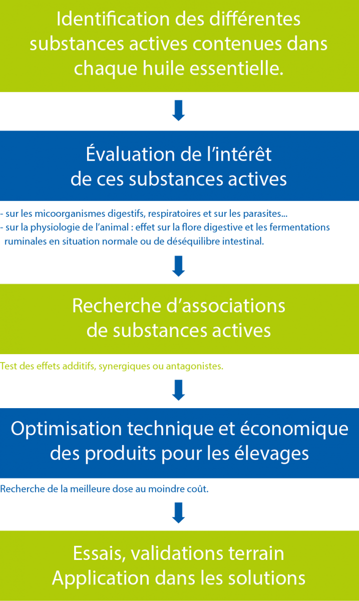 Les étapes de R&D indispensables pour valoriser des ingrédients végétaux actifs en nutrition 