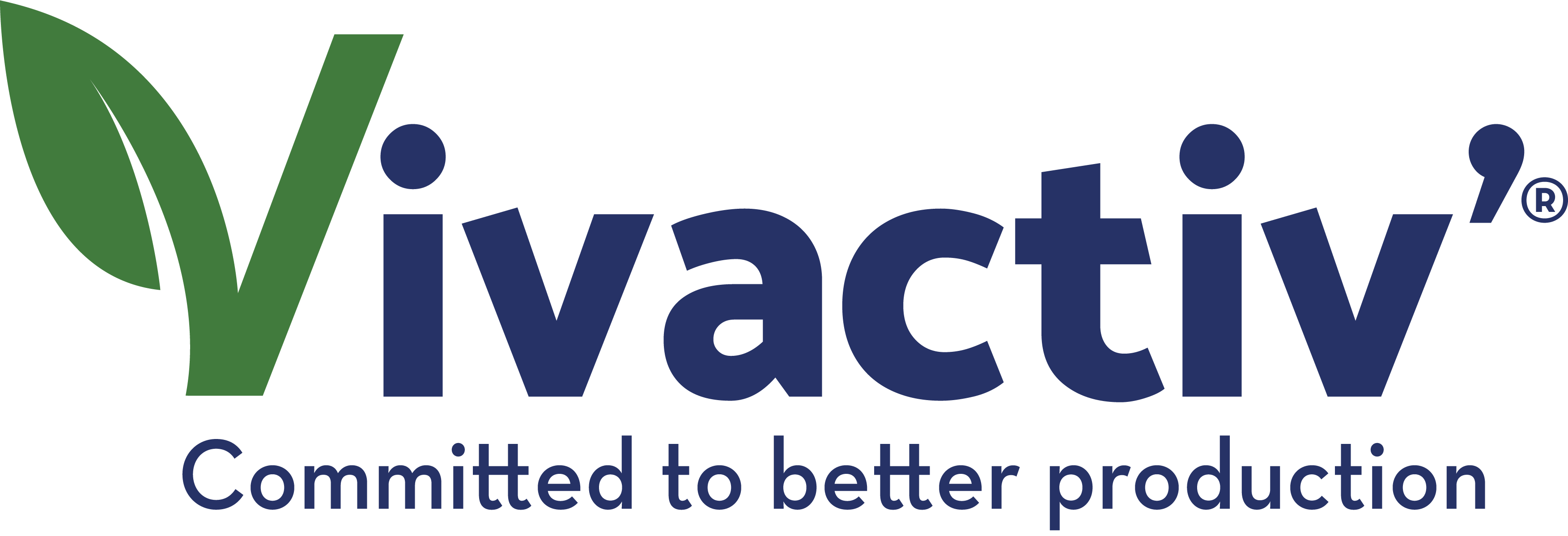 logo VivActiv