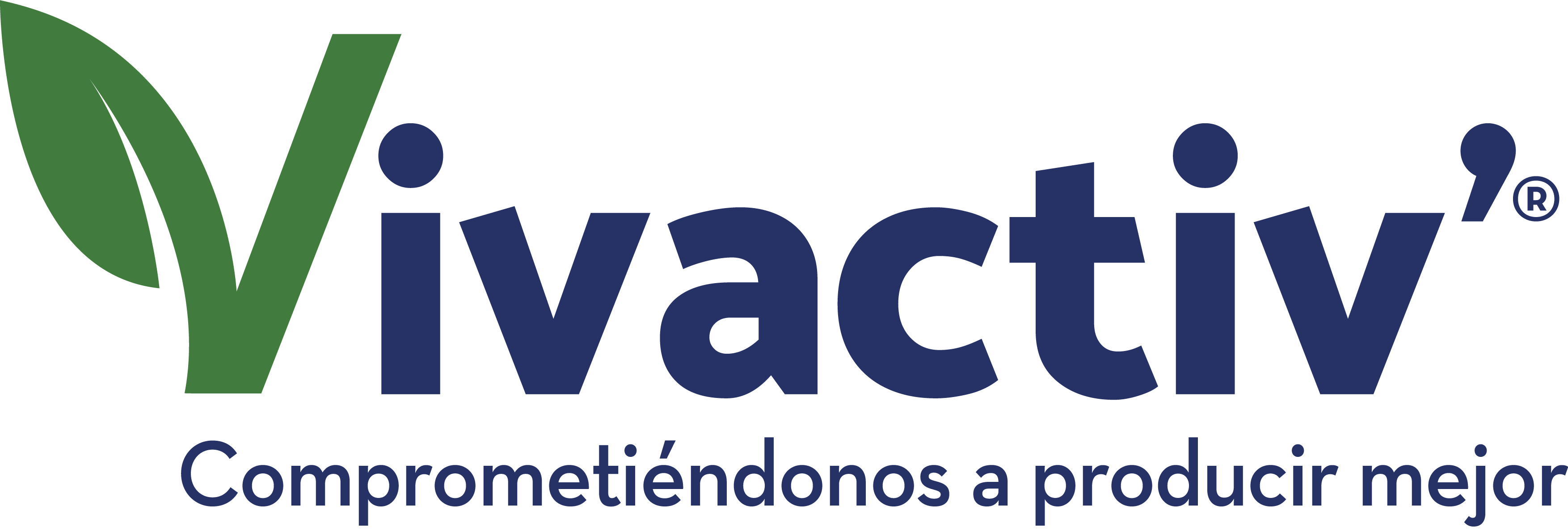 logo VivActiv