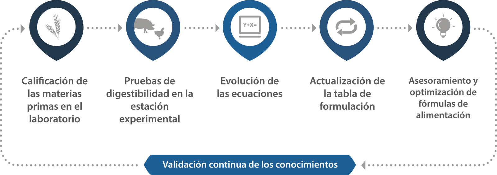 Validación continua de los conocimientos