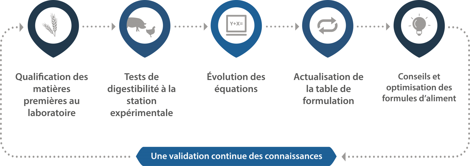 Inforgraphie du cycle de validation continue des connaissances